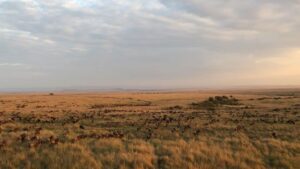 Gursimran Khamba Instagram - Ballooning over the Masai Mara to see the AMAZING wildebeest migration ✅✅✅ #kenya #bucketlistthings