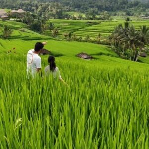 Gursimran Khamba Instagram - Surveying our land one last time before its acquired to make way for a bullet train