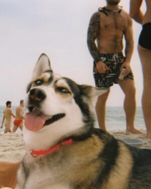 Gus Kenworthy Instagram - Some pics from FIP two weeks ago. Sorry for the delay, it had nothing to do with me struggling over caption options and everything to do with the Kodak film needing to be DEVELOPED which takes time. Thank you for understanding.