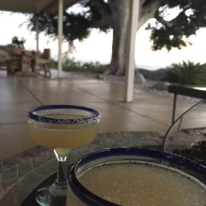 Guy Ecker Instagram - Nunca faltan las margaritas.