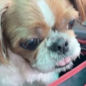 Ha Hyun Sang Instagram - 이렇게 가만히 보고 있으면 저기 일어나는 일들이 별일도 아무일도 아닌 것처럼 느껴지더라.. #휴가끝