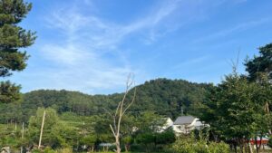 Ha Hyun Sang Instagram - 이렇게 가만히 보고 있으면 저기 일어나는 일들이 별일도 아무일도 아닌 것처럼 느껴지더라.. #휴가끝
