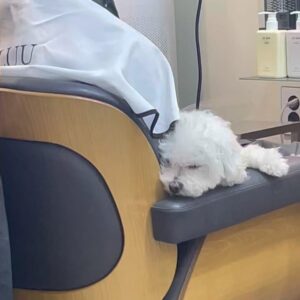 Ha Hyun Sang Instagram - 너무 오랜만에 글을 쓰려니 조금 어색..
투어 끝나고 바로 몸살에 걸려 이제야 회복했습니다
벌써 가을이 오다니.. 
함께해주신 분들 정말 감사합니다 건강 조심하세요🍁