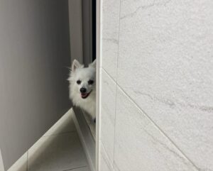 Ha Si-eun Instagram - 1.하늘예쁜어느날
2.우리둘이뒹굴뒹굴
3.내껌딱지
4.또예뻤던 하늘
5.요즘열운동
6.친구가좋은너
7.우리집노을맛집
8.나요새구부리고잠
9.활짝핀이쁜꽃
10.꽃같이이쁜너