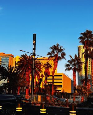 Ha Thanh Špetlíková Instagram - Vegas baby! #hangover #lasvegas #us #travel #travelphotography #travelling #lv #jednouastacilo @ibrahim_m_alnami