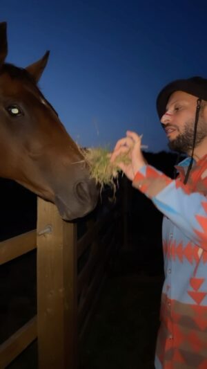 Hakan Hassan Instagram - “Bit of grass darlen”
