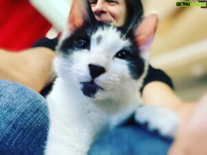 Hal Sparks Instagram - Chip calls shotgun on the livestream