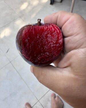 Hamza Yazıcı Instagram - Dampır dumpur Muğla. 🍭