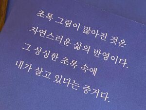 Han Da-sol Instagram - 사랑 하양 파랑 초록 주황