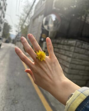 Han Ji-min Instagram - .
🌸🌼🌷🌻🌹🌺