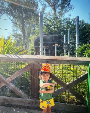Hanna Mangan Lawrence Instagram - Romi doing an elephant dance in front of one! 🐘 !