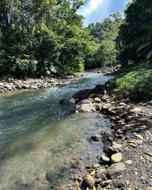 Hannah Bamberg Instagram - L I S T E N Linda! Your next vaca MUST be in Costa Rica. Here’s why…

If you are looking for your next family vacation or honeymoon @thespringscostarica is a great option🌋The resorts sits at the base of a volcano and has over 20 natural hot springs surrounded by lush jungle. You can go white water rafting, ride horses, fish in the river or watch a lion feeding at the resorts wildlife sanctuary which sits at the base of the resort on a river. The resort has multiple fine dining restaurants, but me and Ian spent most of our time at the swim up bar drinking mimosas and eating sushi (they have GREAT sushi) 

The wild life is impeccable. We saw up close wild monkeys, sloths, toucan and more! 

The staff was amazing and Ian and I will defiantly be back!! Thank @thespringscostarica for a mind blowing trip! #costarica #travelcostarica #lafortuna #lafortunahotsprings #costaricapuravida