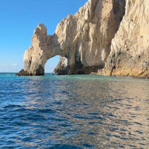 Hannah Bamberg Instagram - Swipe to see my dreams come true in 2023🐋😳 

if you know me then I’ve probably tried to rope you into a whale watching excursion🐋 so today Ian and I ventured on a little boat out into the sea of Cortez on a whale watching tour! One of the coolest experiences of my life!! At one point there were 6 humpbacks, like 20 dolphins and sea lions all swimming together…and I cried. Cause HOLY CRAP!! Next on the list is cage diving with great whites! 🦈