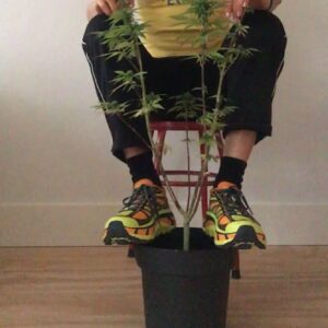 Hannah Hoekstra Instagram - keeps je feets dry ja