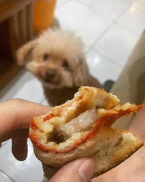 Harry Lu Instagram - 是該稍微放縱一下了吧, 好一段時間都自己煮飯. 雖然想好好瘦身但看到 @pinpizzabar 還是受不了, 頂多等等多做兩組跳繩嘛 😝
在家裏吃的好處就是邊看電視邊吃, 坐著吃躺著吃抱著貓吃都好吃. 
在他店裡吃就是可以享受很有品味的裝潢, 淋上超棒的辣油, 享受吃飽後那杯超幸福的布丁 ❤️ 疫情過後真的要再去內壢一趟了. 
最後一張真的... 夾著厚切鹹豬肉一起吃超級幸福（別問我為什麼照片裡沒有貓, 貓想吃到快瘋掉直接在一旁崩潰咆哮
#bestpizzasofarintaiwan
#新訂的球衣版型也太怪根本圍裙