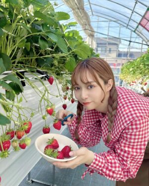 Haruka Yamazaki Instagram - 🍓🍓🍓🍓🍓🍓°*.\(*´∀`*)/.*゜
いちご狩り！
with南早紀
｢よつぼし｣がいちばん美味しかった〜！
でも｢紅ほっぺ｣はなんかもう王者みたいだった！