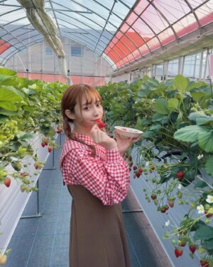 Haruka Yamazaki Instagram - 🍓🍓🍓🍓🍓🍓°*.\(*´∀`*)/.*゜
いちご狩り！
with南早紀
｢よつぼし｣がいちばん美味しかった〜！
でも｢紅ほっぺ｣はなんかもう王者みたいだった！