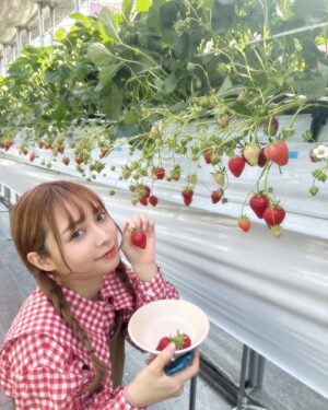 Haruka Yamazaki Instagram - 🍓🍓🍓🍓🍓🍓°*.\(*´∀`*)/.*゜
いちご狩り！
with南早紀
｢よつぼし｣がいちばん美味しかった〜！
でも｢紅ほっぺ｣はなんかもう王者みたいだった！