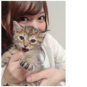Haruka Yoshimura Instagram - のぞみ家のセリちゃん﻿
ちょこたん家のうにたん﻿
ちいちゃん家のぽんちゃん﻿
﻿
みんな子猫の頃に遊びに行かせてもらって﻿癒されてました。
﻿
﻿
ブログに載せた写真もあるのですが﻿あまりに可愛いのでインスタにも◡̈♪﻿
﻿
﻿
﻿
#可愛い﻿ #猫　#ねこすたぐらむ  #このハッシュタグ使ってみたかった 
#山本希望　#桜咲千依　#赤﨑千夏