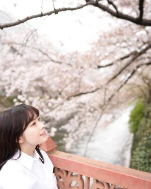Haruna Muranaka Instagram - また来年見れる桜を楽しみに頑張ろう🌸

#桜 #目黒川