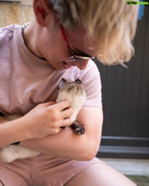 Harvey Mills Instagram - i found an empty park and apparently have zero self control (also a kitten and a dog called otto)