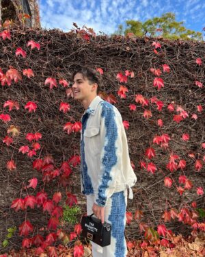 Harvey Petito Instagram - denim on denim 👀📸