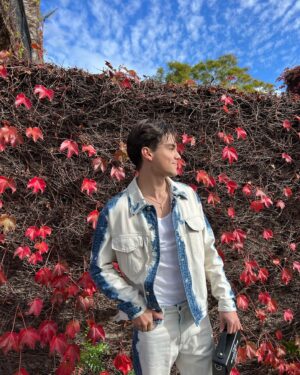 Harvey Petito Instagram - denim on denim 👀📸