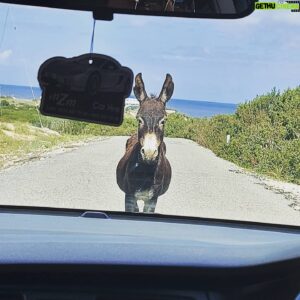 Hasan Küçükçetin Instagram - Gayet güzel birgündü.Sonunda bir gringo tarafından yolumuz kesilene kadar...