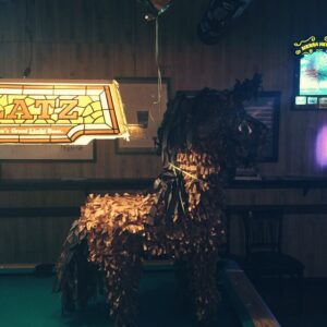 Hayley McFarland Instagram - 🐎🎊🎱