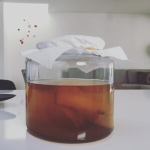Hayley McFarland Instagram - No, that's not a chicken breast floating in a jar, it's my first attempt at brewing kombucha! 