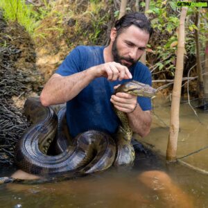 Hazen Audel Instagram - Those of you who enjoy gardening as much as I do know the importance of earthworms and night crawlers in your soil. 
This one was found after some heavy rains wandering about in one of my favorite gardens - in the jungles of Suriname. 

#naturelover #herper #herpinglife #anaconda #naturenerd #hazenaudel #primalsurvivor #natgeo #natgeotravel #herping #mastergardener #mastergardenersofinstagram #f150 #bumpinuglies #wormbin