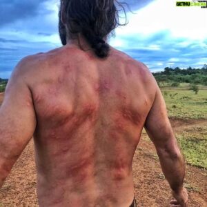Hazen Audel Instagram - After a session of getting honey the hard way,, mission unsuccessful. 
#wildhoney #beekeeping #wildlife #primalsurvivor #hazenaudel #survival #survivalskills #safetysecond