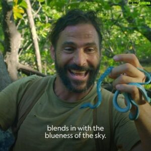 Hazen Audel Instagram - Don't miss TONIGHT! Episode 5 of Primal Survivor, Extreme Africa Safari 

Airing tonight in the US on #nationalgeographicchannel and coming soon to other #natgeochannel and #Disneyplus around the world soon! 

Finding this snake was a Show Stopper for me!! I am so so happy I was able to showing off to the world! #africanwildlife 
#exploreafrica #herper #reptilesofinstagram #reptilelove #colubridsofinstagram #disney  #snakelover #naturenerd #bushcraftlife #survivalskills #bushcraft #naturalhistory #mangrove #naturedocumentary #naturelover