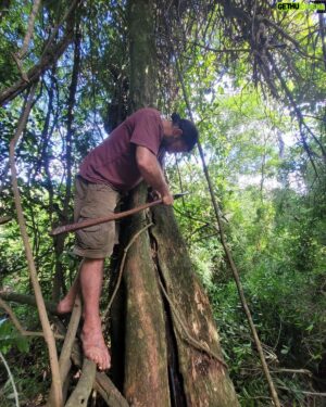 Hazen Audel Instagram - Considering whether or not I should try to get wild honey- the hard way.
.
.
.
.
.
.

#overtheandes #PrimalSurvivor #natgeo #natgeochannel #nationalgeographic #beekeeping #wildbees #trigona #hymenoptera #jungleboy #bushcraft #junglesurvival #axethrowing #axemaking #naturelover #survivalgear #liveofftheland #expeditiontravel #barefootrunning
