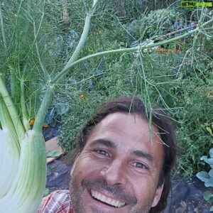 Hazen Audel Instagram - In between filming but always adventuring. Take a peruse through my food garden. All organic! Nothing ever needs a washing. I plant everything in places with purpose to deter pests. Fences keep out the deer, gophers,and voles. Specially built bird houses at special places to get the specialty birds that come every year to protect my garden and raise their babies. Toads and Gardner and Gopher snakes enter the garden at will and look for slugs and  mice that munch on dinner before I get to it. 
Every year I am always trying to be more self sufficient. Always improving. Always able to give away surplus to friends, family and neighbors. This is how I plan for the future. 

As you might see on TV. I don't make television programs, I just go to great lengths doing what I love. So I live my passions. And hopefully the record button is on because I love sharing what I get to see and do. 

Working hard maked it so nothing is taken for granted.

#thegoodlife  #organicgardening #naturalliving #permaculture #offgridliving #prepper #prepping #organicfarm #homemade #gardening #diygarden #vegetablegarden #livingofftheland #primalsurvivor #HGTV #natgeochannel #rewild #rewilding