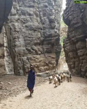 Hazen Audel Instagram - A Massai coming  back from grazing and walking his goats through a canyon passage. Just before an enormous traffic jam of hundreds of his animal. I was using the passage as well. But needing to go the other way. 

#herding #massai #culturaltravel #natgeo #tanzania #massi #workingabroad