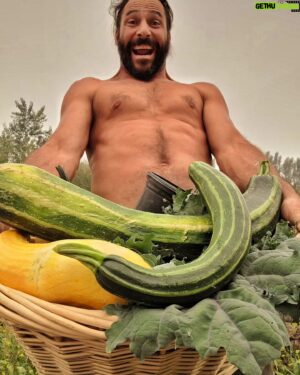 Hazen Audel Instagram - Get your veggies! This time of year the Garden is ripe for the picking. 

Sun, water and good dirt. Some of my favorite things. 

#organicgardening #organicfarm #funfood #rewildyourlife #rewilding #spokane #spokanedoesntsuck #hazenaudel #liveofftheland #selfreliance #lifelonghealth #naturalathlete