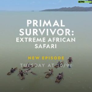 Hazen Audel Instagram - National Geographis channel tonight! Cows can swim for several miles if necessary, and it is necisarry with West Africa's ongoing drought. Vegetation is scarce, so cattle must be on the move to greater distances to find things to graze and browse. — so @hazenaudel's trek with these farmers could be a long one! Don't miss #PrimalSurvivor: Extreme African Safari, tonight at 10/9c on National Geographic.

Available now as well on #Amazonprimevideo. And watchable soon on #disney 

#disneyplus #cattle #rancherlife #pastoralist #cowboylife #cowboy #africatravel #natgeo #exporeafrica #travellife