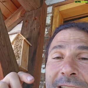 Hazen Audel Instagram - Rewild your life! Notice the little Lacewing visiting my freshly beardless face mid video? They devour aphids so that's cool. Go make yourself a Leaf cutter hotel! Bye. 

.for more cool stuff to do for the wildlife and survival and natural living be sure and be a part of our Patreon community www.patreon.com/hazenaudel
We're doing all kinds of this stuff on there. 
.
.#patreon #rewild #rewilding #rewildyourlife #hymenoptera #naturenerd #lovenature #diygarden #gardening #pollinators #shaveoftheday #HGTV #wildlifelover