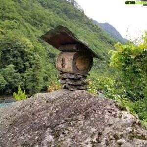 Hazen Audel Instagram - Wanna see some cool bee keeping? Here in the Yunnan Province in China the local Indigenouse Dulong people avidly make bee hives out of hollowed sections of logs and placing them on strategic parts of their land. It is wishful thinking for the most part. The chance of the right species of wild bees colonizing these logs is very slim. You can see in some areas there are almost countless hives being made and placed up through the hills and into the forest.
 Most people in the "modern" world are familiar with the honey bee; Apis mellifera- the European honey bee. But that is a bee that has been hybridized and domesticated and is used for conventional honey production almost throughout the world. But throughout the world there are actually thousands of species of wild bees that don't get much attention. Not all of these bees make honey or if they do it is in much smaller quantities than what European Honey bees are capable of making. Non the less they play an unimaginable importance to the ecosystems they are native to. 
Here in this region the wild honey from Indigenous wild bees are what the Dulong are after. Often times species or specific colonies of bees will favor specific flowers. Giving the honey distinct flavors as well as distinct medicinal qualities valued in traditional Chinese medicine. Certain honeys can bring high market value. The most sought after honey comes from wild bees that are getting nectar from the wild mountain rhododendron that grows on steep, remote cliff sides. 
The nectar-honey from this plant is highly toxic. At the same time as being poisonous it is also hallucinogenic. 
If a family is lucky enough to have a hive with these bees and this kind of honey it is valuable enough to change a family. A means to raise an entire family out of generational poverty. 

Discovered while filming #PrimalSurvivor China.

#beekeeping #natgeo #naturefact #hallucinogen #honey #chinesemedicine #funfacts #naturefacts #travelblogger  #hallucinations #mastergardener