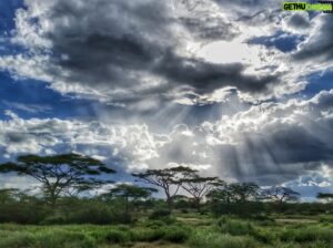 Hazen Audel Instagram - An awfully nice Tanzanian sky. Taken in between jeourneys while filming some of our latest episodes. 

#PrimalSurvivor #natgeo #disneyplus #Africatravel @africacalling #rewilding #office #expeditiontravel