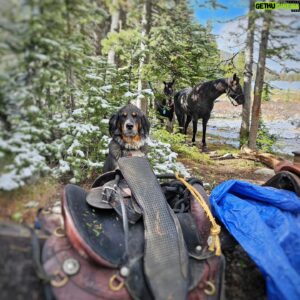 Hazen Audel Instagram - Bales thoroughly enjoyed her adventure with all the boys in the Montana Wilderness. The @cary__jack Montana Male Entrepreneur Mastermind. @iamahappyhustler organized a simply incredible journey. Loads and loads of fun with amazing people with brilliant minds. There was a lot of discussion and development about healthy Male connection, family, business, health, leadership, and the actions we all want to take for our futures. We spent valuable adventure and rest time together that we all needed to form very strong friendships that will last our lifetimes. We were intentional. And we created further support for one another to grow and make in this life to be influential, prosperous, healthy and inspired and making our families and relationships our priorities. 

More adventures ahead. More trips being planned that include adventurers of all kinds- Women, Men, couples, littler ones and families and people that want to grow individually and together. Www.hazenaudel.com/adventures 

#healthyman #morningman @morningmangreens  #backpacking #Kuhl #kuhlclothing #fishingbuddies #entrepreneurs #healthyamerica #horsepacking #cowboylife #diypete #gooutside #dogsofinstagram #actuallygoingoutsideandsleepingoutside #strongmale #dailyinspiration