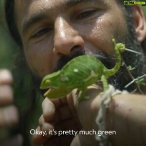 Hazen Audel Instagram - I hope you liked Episode 1 of Primal Survivor: Extreme African Safari.
 TODAY
Episode 2!! 
Lots of good critters in this one- small and as big as they get!

#elephants #herper #chameleon #africanwildlife #wildlifelover #iheartnature #expeditiontravel #overland #herpinglife #naturenerd #PrimalSurvivor #bushcraft #survival #amazonprimevideo #natgeochannel #natgeo #disneyplus #disney  #naturedocumentary #extremelife