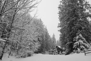 Heather Anne Campbell Instagram - so that winter storm in California/Oregon/Washington you’ve been hearing about on the news? Mary and I got hit hard by it. Power out, landline down, hot water busted — and an incredible, beautiful landscape of fresh snow and curious deer. It was wonderful!
we’re safe and heading back, slowly