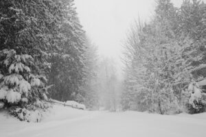 Heather Anne Campbell Instagram - so that winter storm in California/Oregon/Washington you’ve been hearing about on the news? Mary and I got hit hard by it. Power out, landline down, hot water busted — and an incredible, beautiful landscape of fresh snow and curious deer. It was wonderful!
we’re safe and heading back, slowly