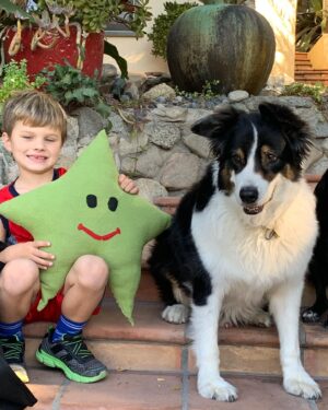Heather Tom Instagram - Yesterday my beautiful boy passed away. Henry shared our lives for almost 16 wonderful years. I will miss running on the beach and going on long hikes with him. He had the best puppy dog eyes and he used them every chance he got to finagle a chicken bite or even better bacon! He was a kind, gentle majestic beast and we will love him forever. ❤️#aussie #australianshepherd #puppydog #dog #love