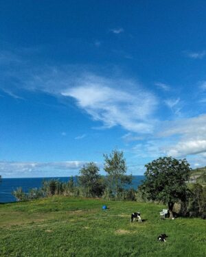 Helena Caldeira Instagram - Life lately in Azores, but only outside the scenes. 
Behind the scene you’ll get later.