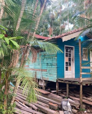Helena Zengel Instagram - „Als ich vom Himmel fiel“ - Juliane Koepcke

-

„Transamazonia“ in progress 😎

-

@pia.marais
@trans.amazonia