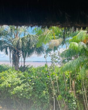 Helena Zengel Instagram - „Als ich vom Himmel fiel“ - Juliane Koepcke

-

„Transamazonia“ in progress 😎

-

@pia.marais
@trans.amazonia