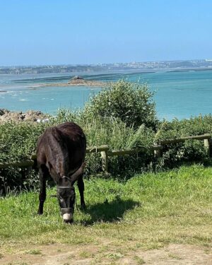 Hélène Rollès Instagram - 2 jours de randonnée avec Cannelle !! 💕
Ce week-end en Bretagne.. magnifique !
